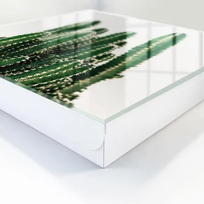 Schlüsselschrank Grüne Kakteen