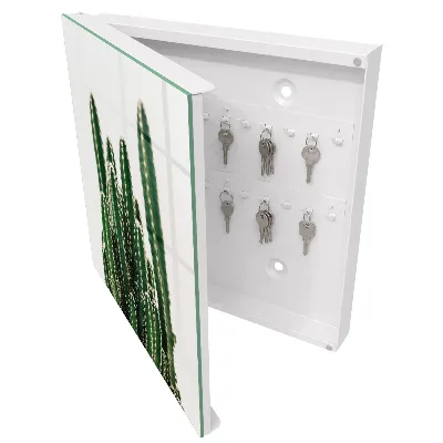 Schlüsselschrank Grüne Kakteen