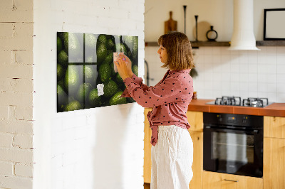 Magnettafel küche Eine Avocado