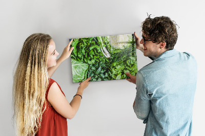 Magnettafel küche Grünes Gemüse