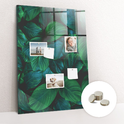 Magnettafel Große tropische Blätter