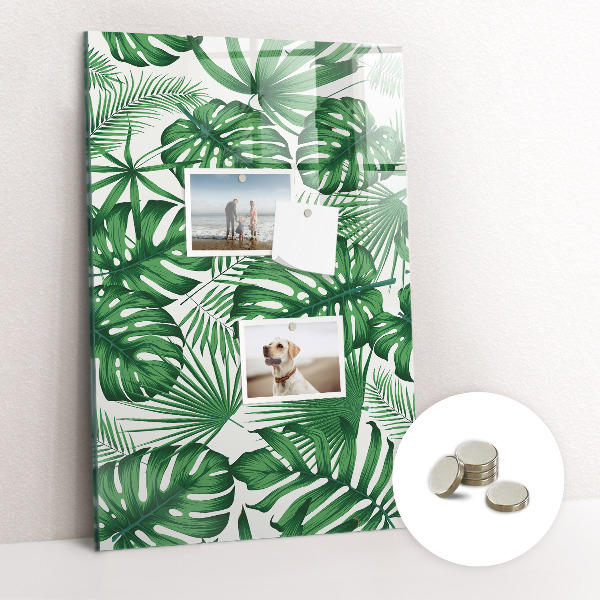 Magnettafel Monstera-Pflanzenblätter