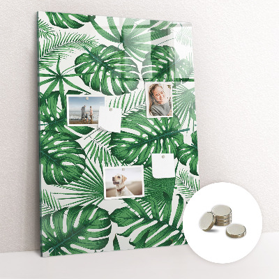 Magnettafel Monstera-Pflanzenblätter