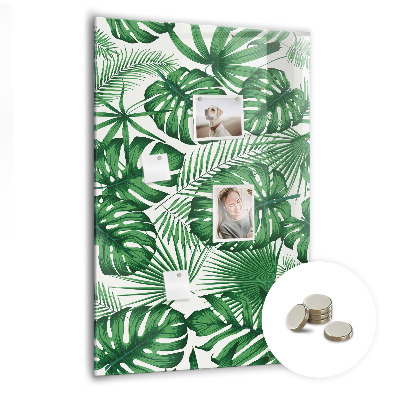 Magnettafel Monstera-Pflanzenblätter