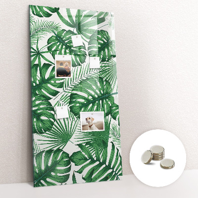Magnettafel Monstera-Pflanzenblätter