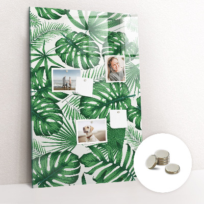 Magnettafel Monstera-Pflanzenblätter
