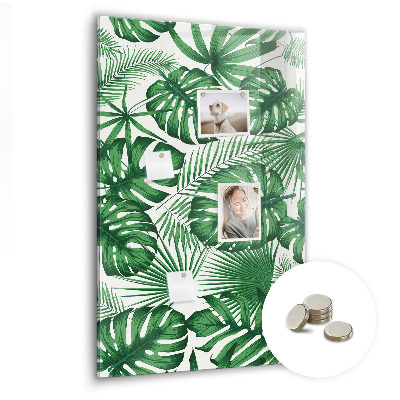 Magnettafel Monstera-Pflanzenblätter