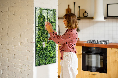 Magnettafel Waldbäume Natur