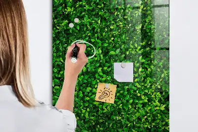 Beschreibbare Magnettafel in Blätterzaunoptik