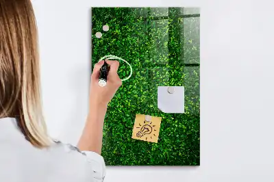 Beschreibbare Magnettafel in Blätterzaunoptik