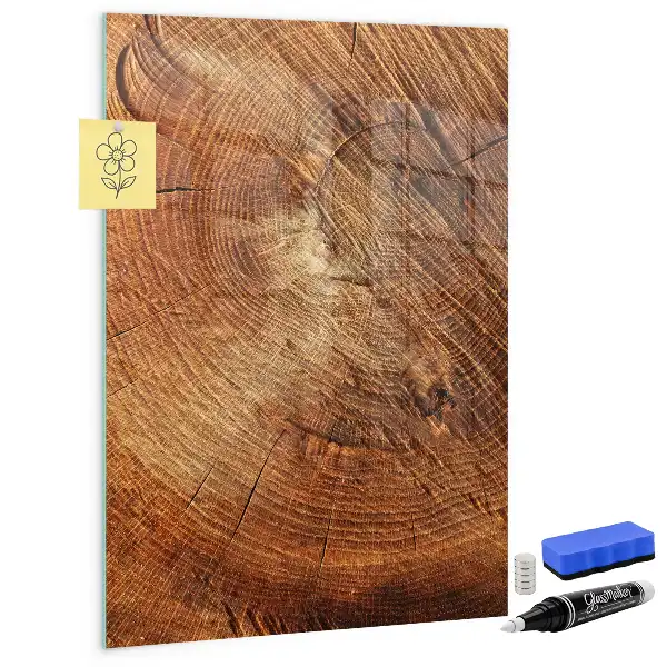Magnettafel in Form eines Baumstamm-Querschnitts und beschreibbar
