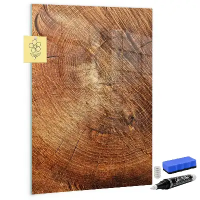 Magnettafel in Form eines Baumstamm-Querschnitts und beschreibbar