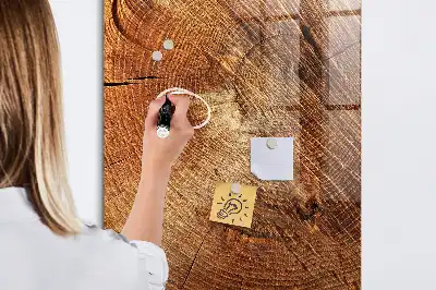 Magnettafel in Form eines Baumstamm-Querschnitts und beschreibbar