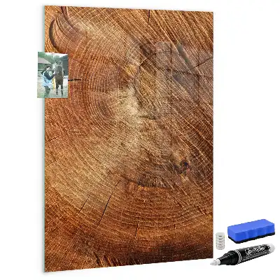 Magnettafel in Form eines Baumstamm-Querschnitts und beschreibbar