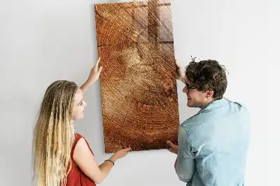 Magnettafel in Form eines Baumstamm-Querschnitts und beschreibbar