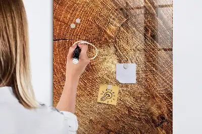 Magnettafel in Form eines Baumstamm-Querschnitts und beschreibbar