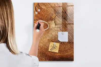 Magnettafel in Form eines Baumstamm-Querschnitts und beschreibbar