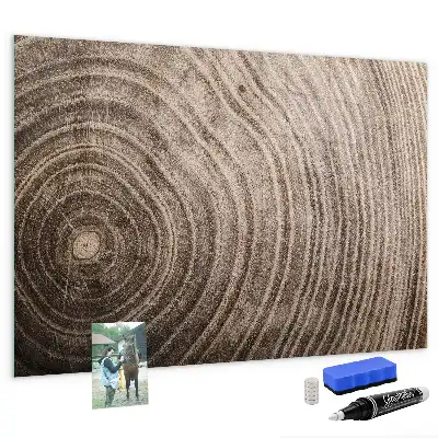 Beschreibbare Magnettafel für die Küche Motiv Baumstamm