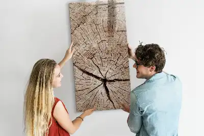 Magnettafel zum Beschreiben in Baumstamm-Querschnitt-Optik