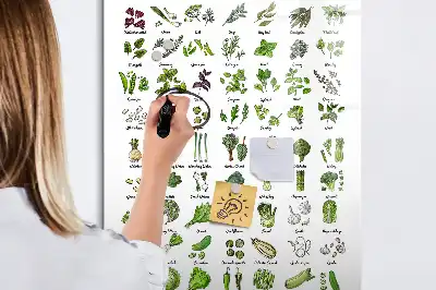 Magnettafel beschreibbar mit Motiv grünes Gemüse