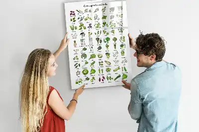Magnettafel beschreibbar mit Motiv grünes Gemüse