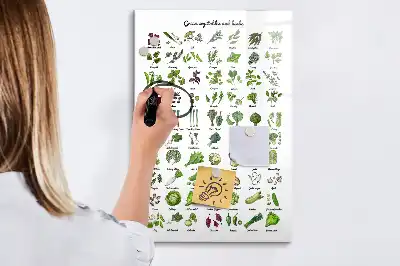Magnettafel beschreibbar mit Motiv grünes Gemüse