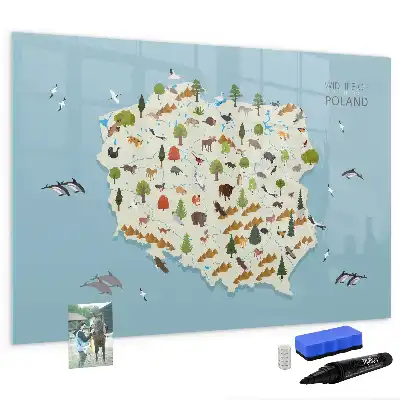 Magnettafel mit Tierkarte von Polen beschreibbare Ausführung