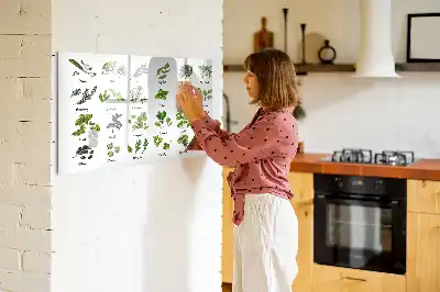 Schreib-Magnettafel mit dem Motiv Baumarten