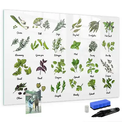 Schreib-Magnettafel mit dem Motiv Baumarten