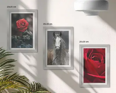 Fotowand mit roten Rosen und einem Pferd in grauer Umgebung