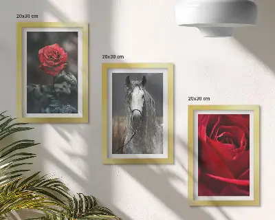 Fotowand mit roten Rosen und einem Pferd in grauer Umgebung