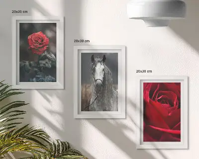 Fotowand mit roten Rosen und einem Pferd in grauer Umgebung