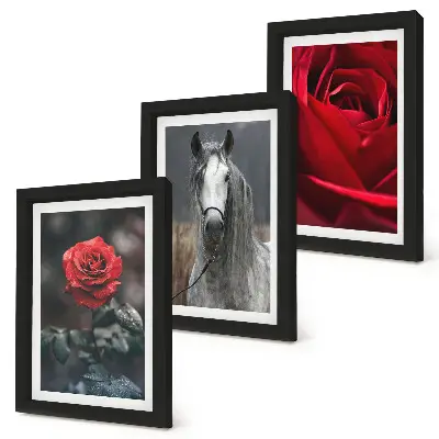 Fotowand mit roten Rosen und einem Pferd in grauer Umgebung