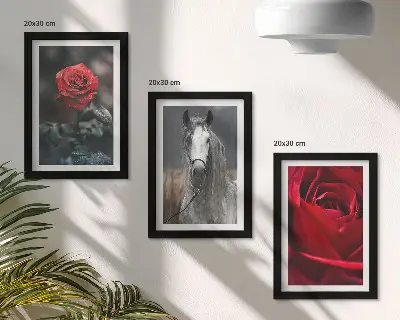 Fotowand mit roten Rosen und einem Pferd in grauer Umgebung