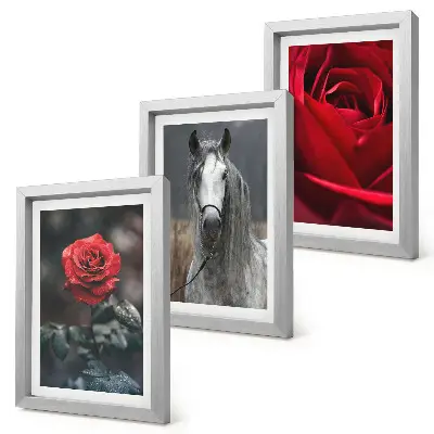 Fotowand mit roten Rosen und einem Pferd in grauer Umgebung