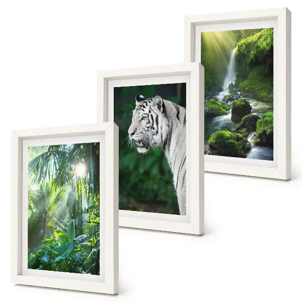 Fototapete Dschungel mit weißem Tiger und Wasserfall