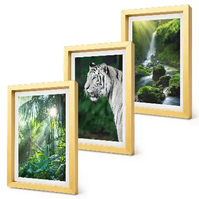 Fototapete Dschungel mit weißem Tiger und Wasserfall
