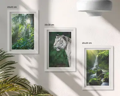 Fototapete Dschungel mit weißem Tiger und Wasserfall