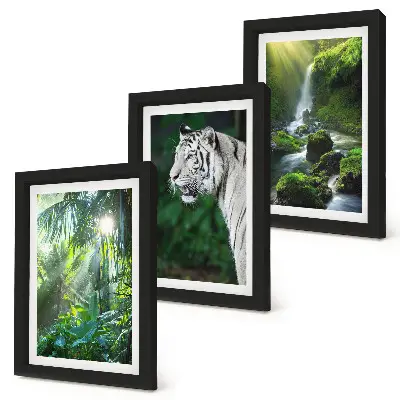 Fototapete Dschungel mit weißem Tiger und Wasserfall