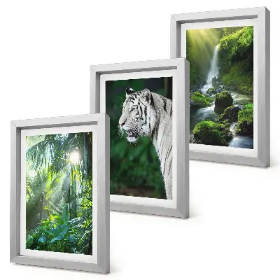 Fototapete Dschungel mit weißem Tiger und Wasserfall
