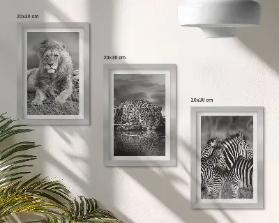 Fotowand mit Wildtieren der Savanne wie Löwe, Jaguar und Zebra