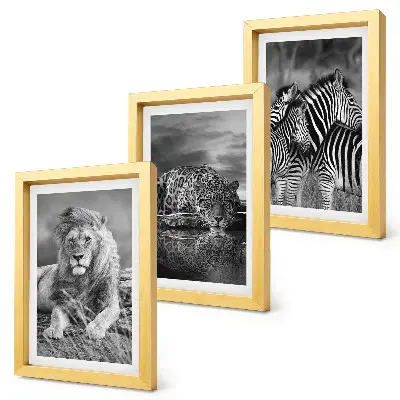 Fotowand mit Wildtieren der Savanne wie Löwe, Jaguar und Zebra