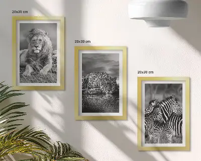 Fotowand mit Wildtieren der Savanne wie Löwe, Jaguar und Zebra