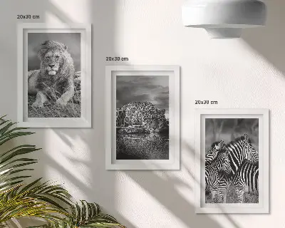 Fotowand mit Wildtieren der Savanne wie Löwe, Jaguar und Zebra