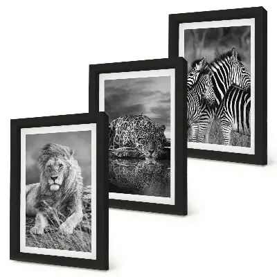 Fotowand mit Wildtieren der Savanne wie Löwe, Jaguar und Zebra