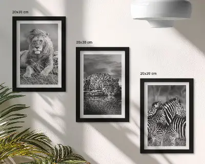 Fotowand mit Wildtieren der Savanne wie Löwe, Jaguar und Zebra