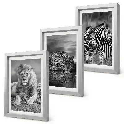 Fotowand mit Wildtieren der Savanne wie Löwe, Jaguar und Zebra