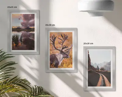 Fototapete Berglandschaft mit Rentieren und einer Straße in der Natur