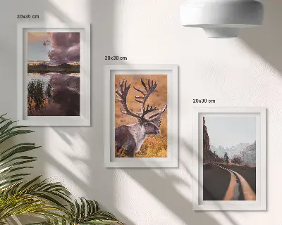Fototapete Berglandschaft mit Rentieren und einer Straße in der Natur