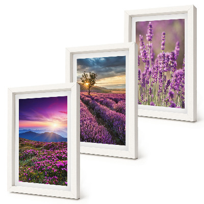 Bilderset mit rahmen Landschaft mit Lavendelfeldern und Sonnenuntergang